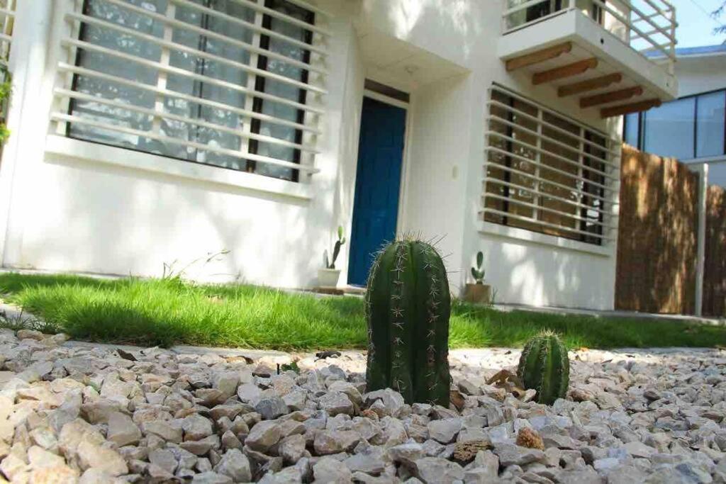 Casa Buda Liberia Cerca Del Aeropuerto Exterior foto